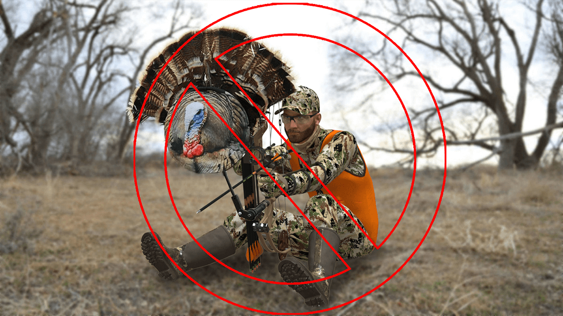 hunting with near decoys