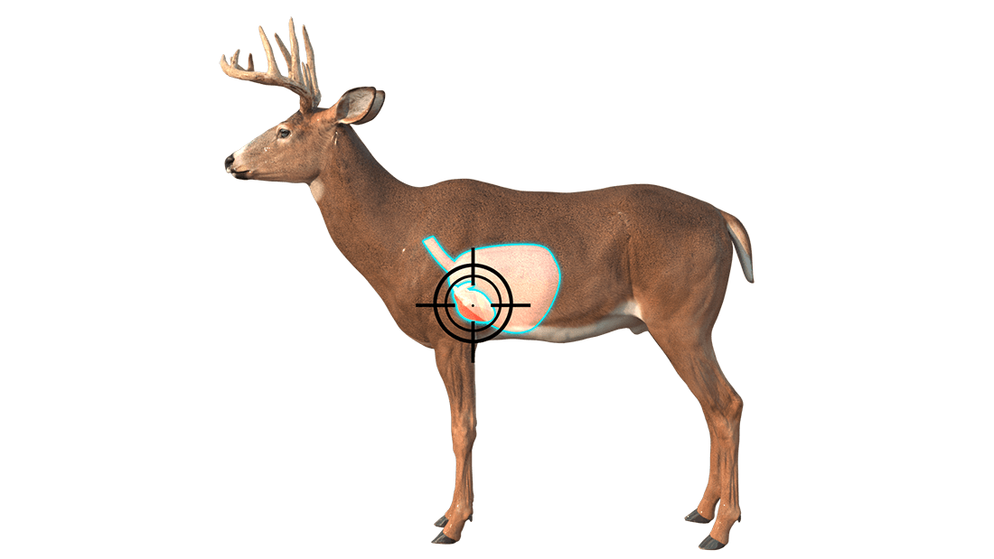 taking the shot broadside