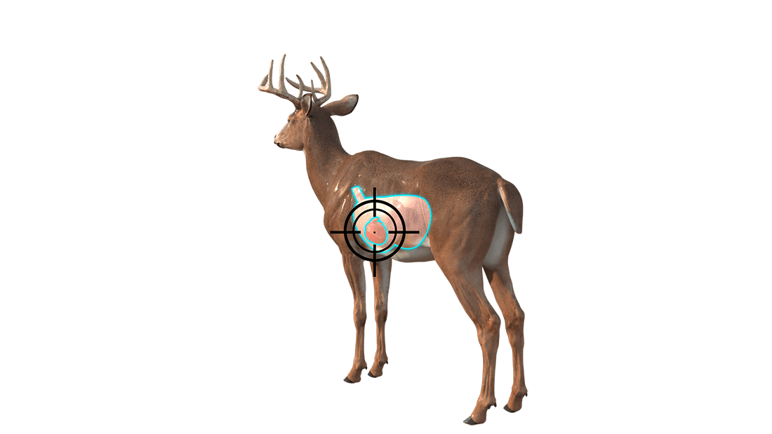 taking the shot quartering away