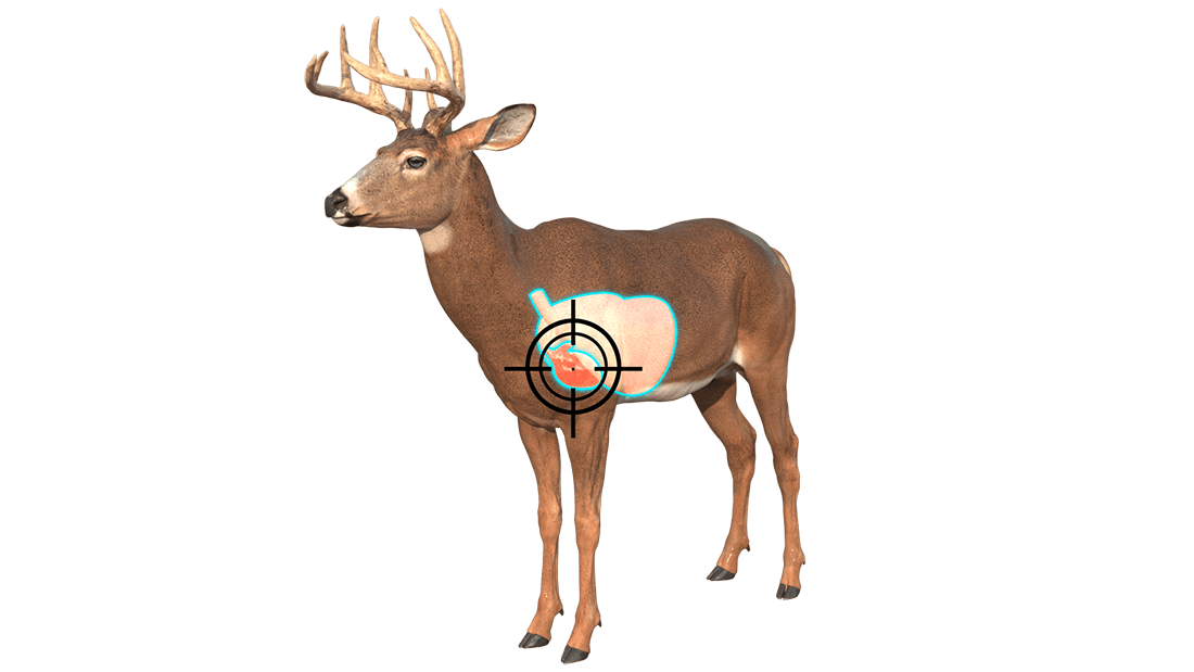 taking the shot quatering toward