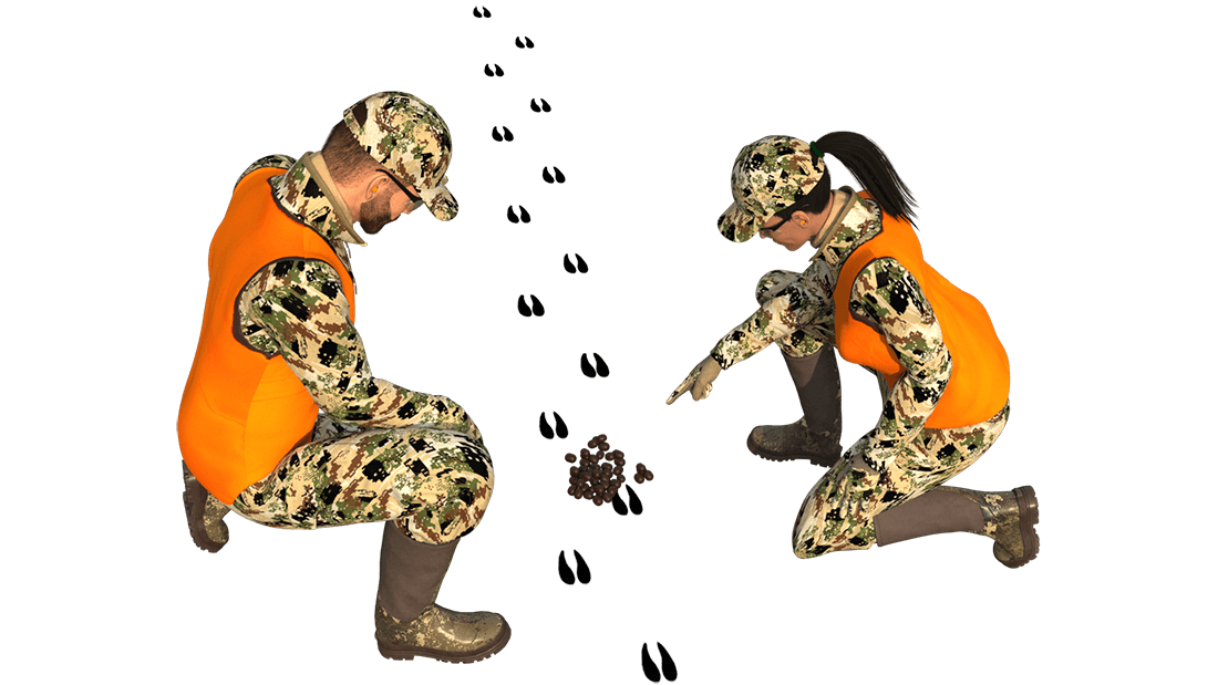 wildlife identification