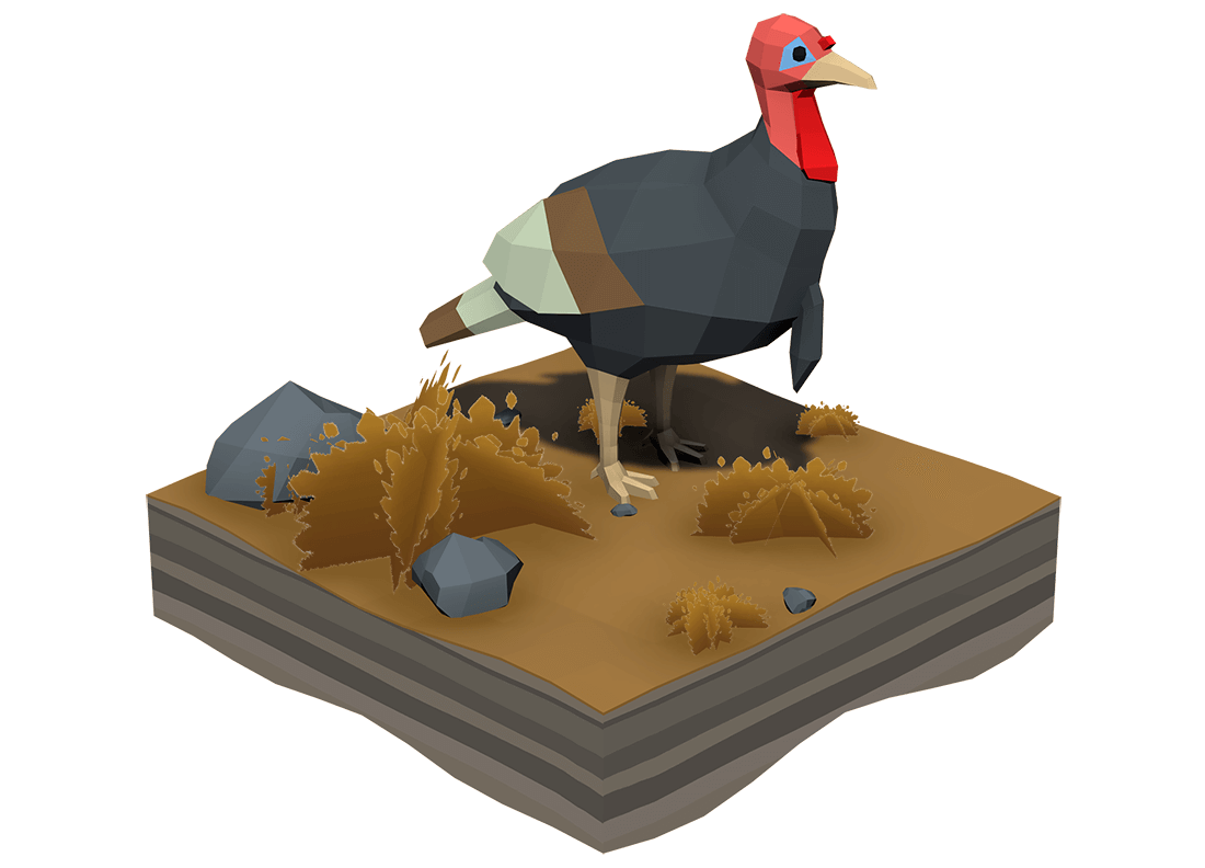 Turkey