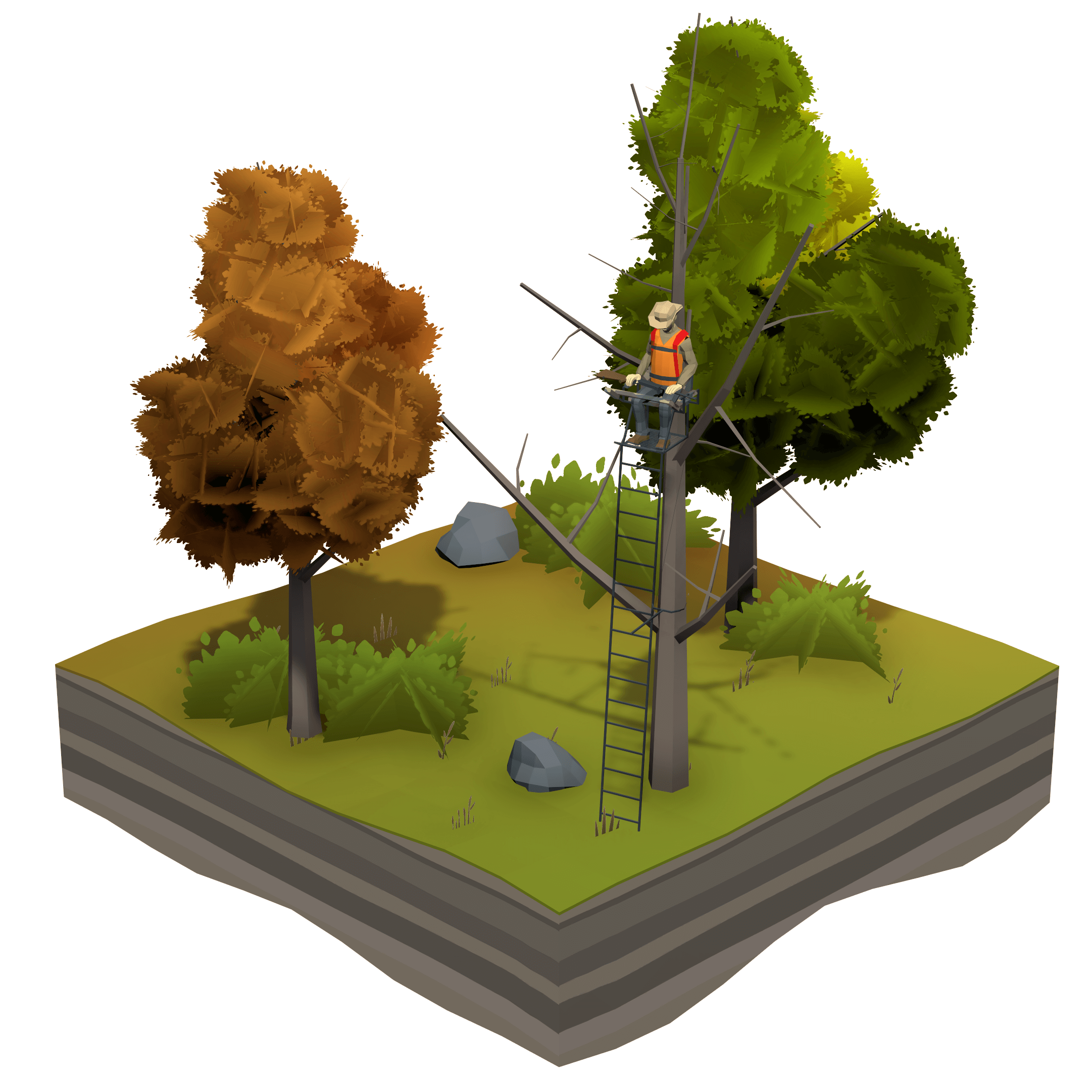 Tree Stand Safety Tips Falling & Rights of Way