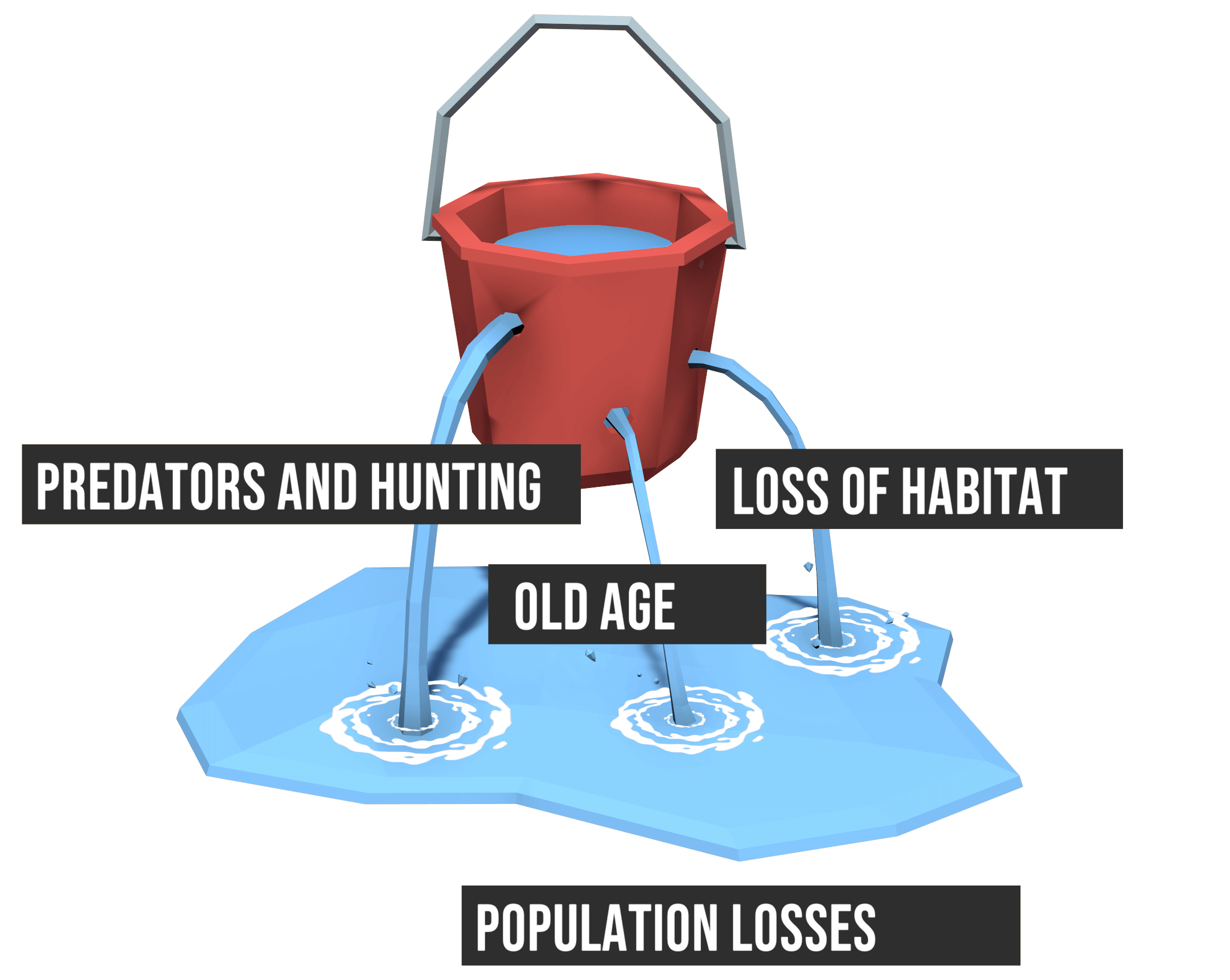 What is Carrying Capacity in hunting?