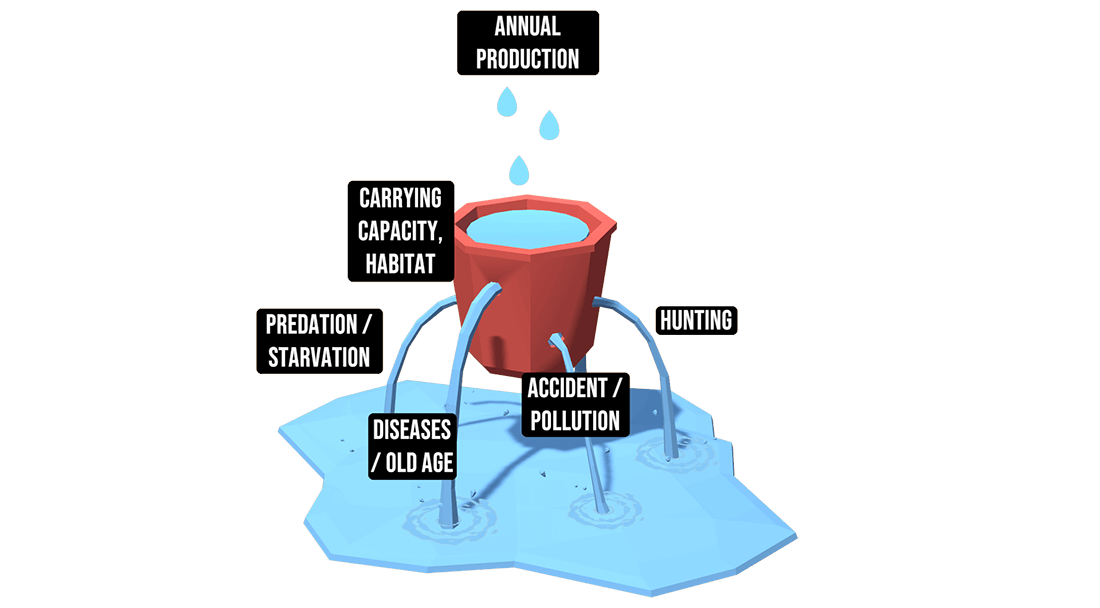 Wildlife conservation principles