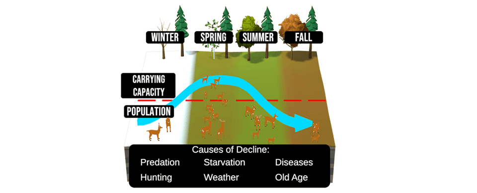 Wildlife Conservation Principles - The North American Model