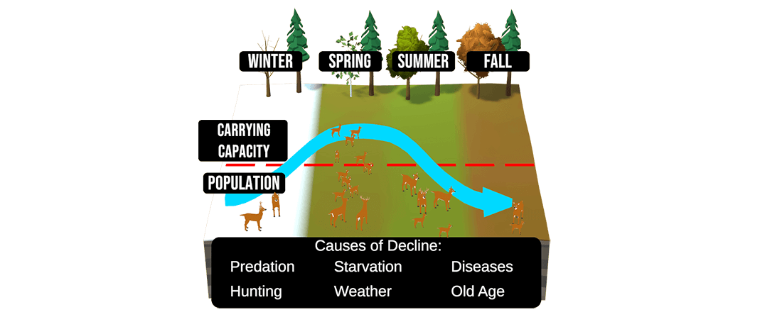 What is biological surplus in hunting?