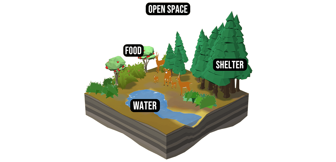 Wildlife Management Techniques