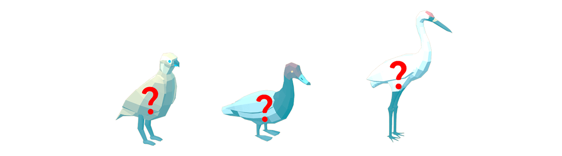 Wildlife Identification