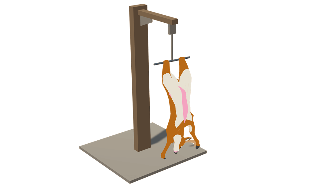 Meat quality - Deer hanging