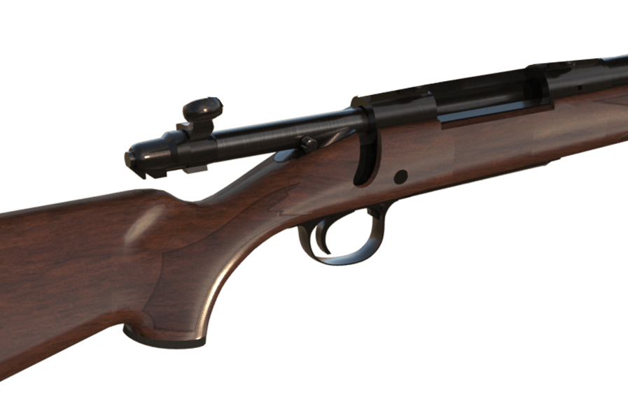 Bolt Action rifle ou shotgun