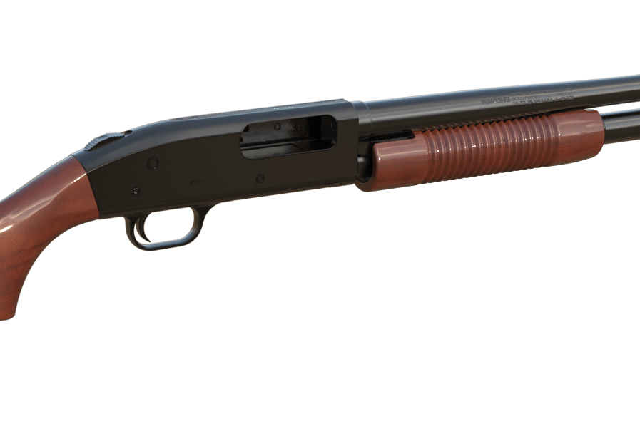 Pump Action rifle or shotgun