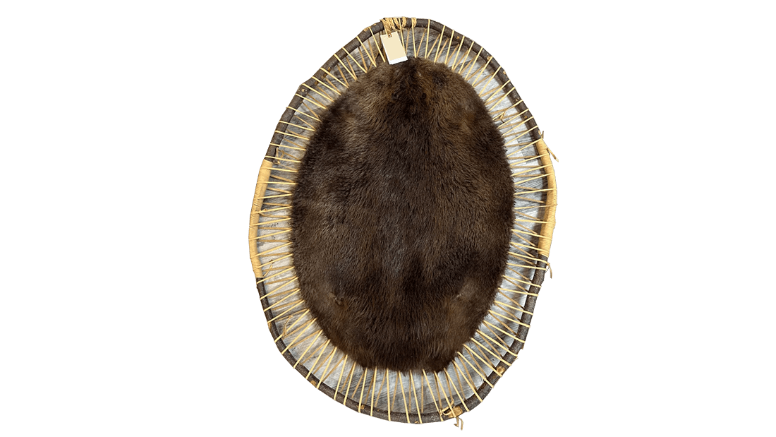 beaver pelt round hoops
