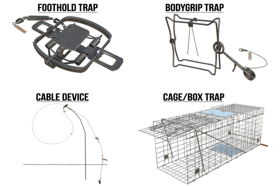 Different Rows Traps What are the different types of traps used in trapping?