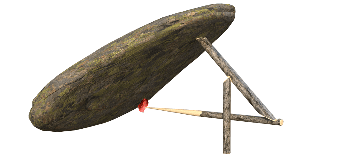 evolution of trapping