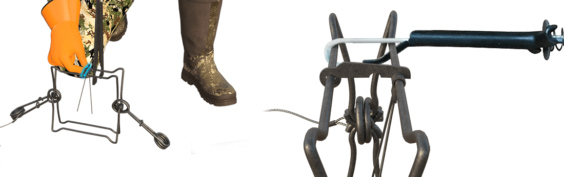 safe procedures bodygrip trap step 6