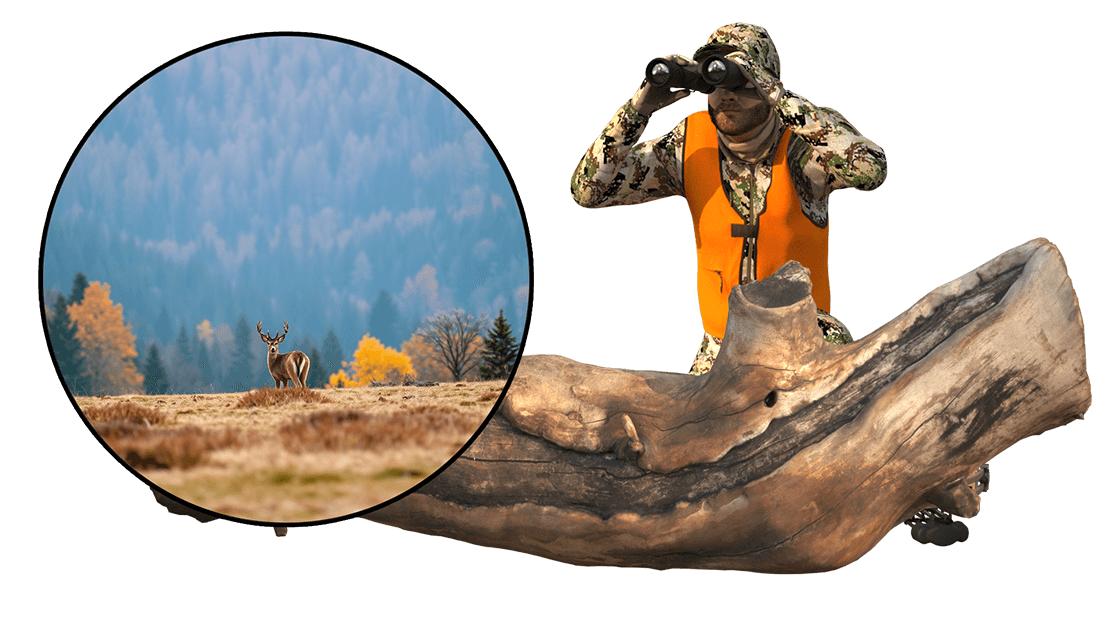 Bowhunting techniques