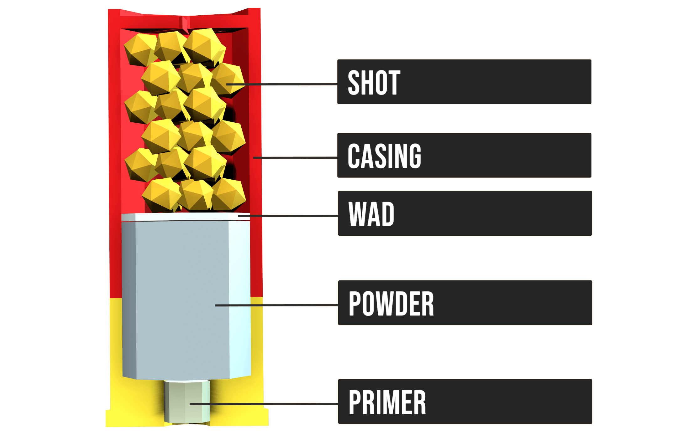 What are the basic Parts of a Shotgun Shell?