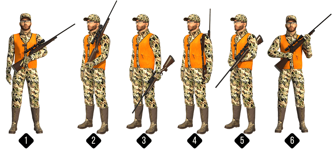 6 types of Field Carries